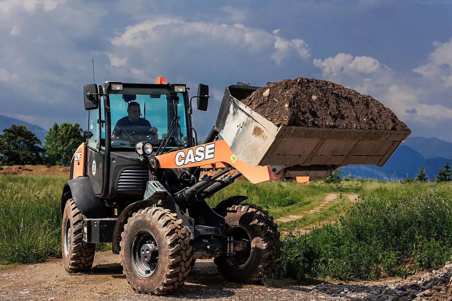 Cargadora Compacta de Case